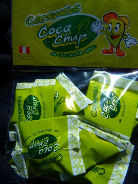 coca sweets coca erythroxylum coca