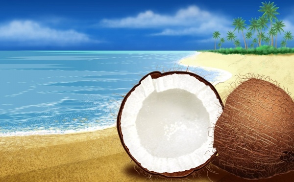 coco beach chestnut
