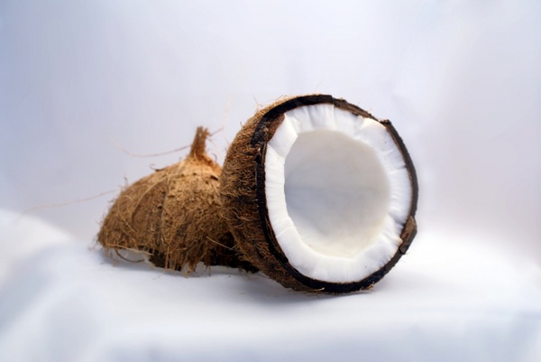 coconut coconuts exotic