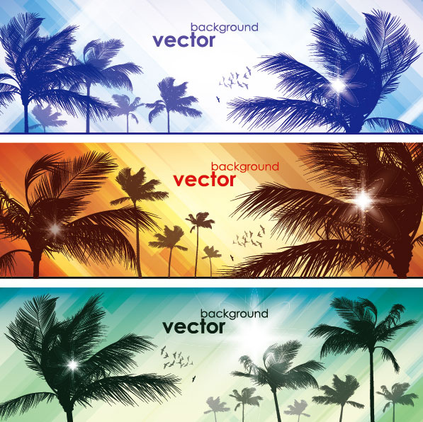Coconut free vector download (392 Free vector) for commercial use
