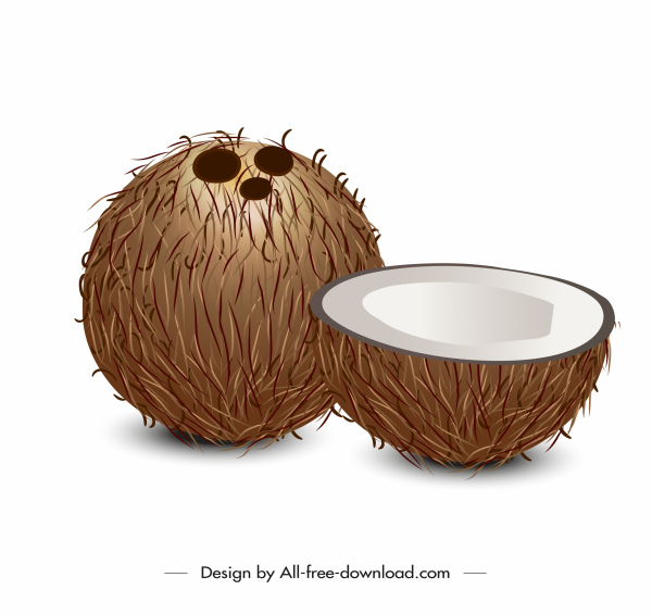 coconut icon modern 3d sketch