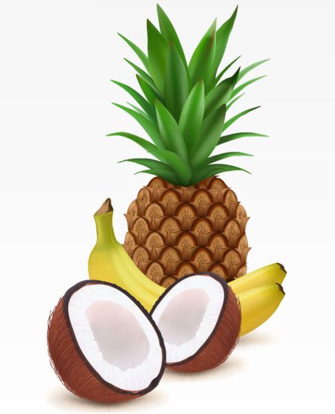 coconut pineapple and banana vector
