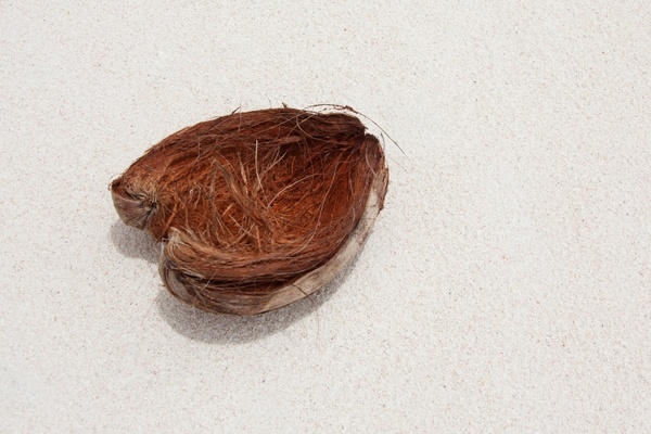 coconut skin sand