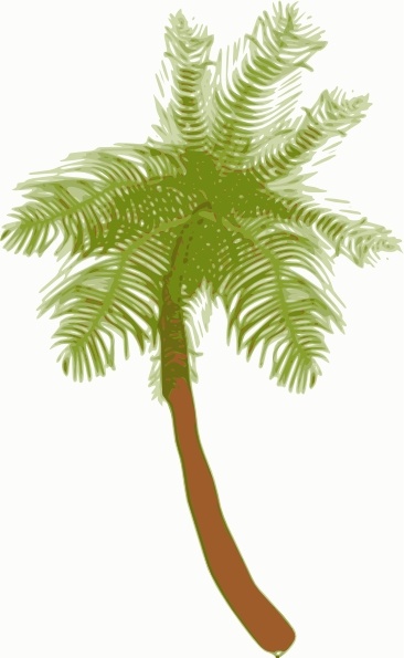 Coconut Tree clip art