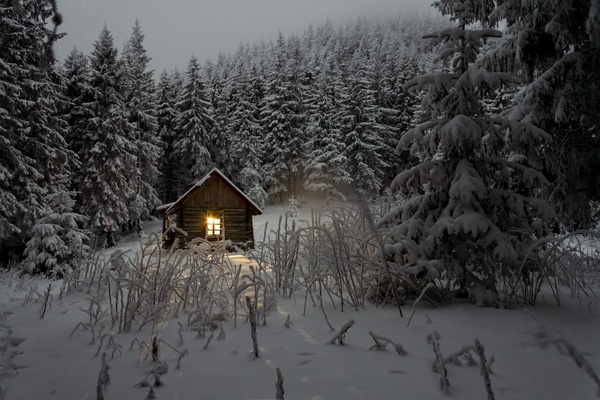 cold evergreen forest frost frozen hut landscape