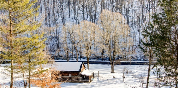 cold forest home house rural snow tree winter