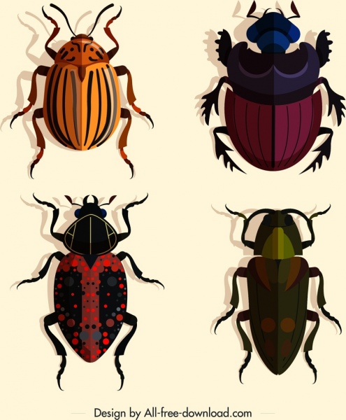 coleopterous insects icons dark colored design