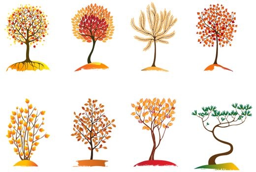 collection of autumn trees