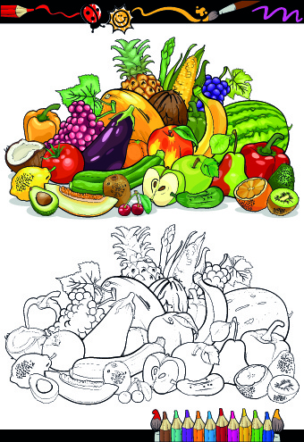 color with sketch fruit and vegetables vector 