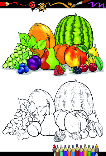 color with sketch fruit and vegetables vector 