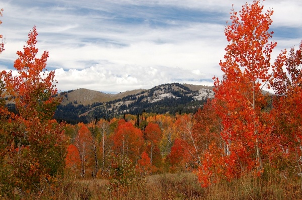colorado landscape nature