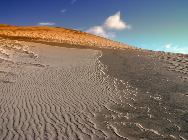 colorado sand dune dunes