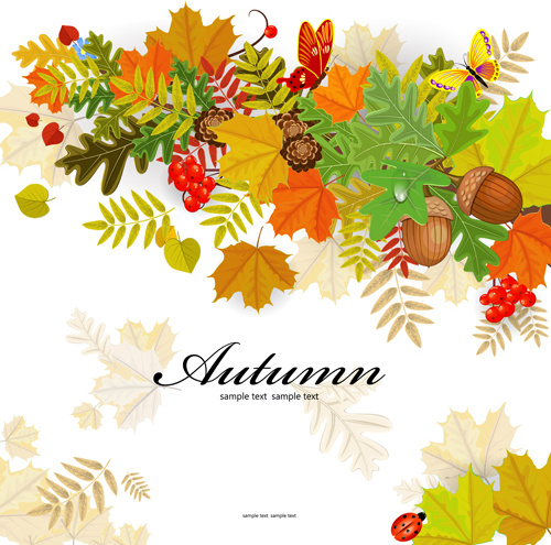colored autumn leaves with fructification backgrounds vector