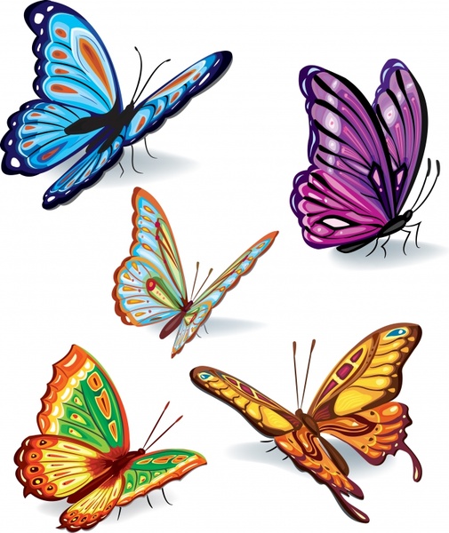 butterflies icons colorful modern 3d sketch