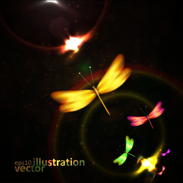 colorful dragonfly vector illustration
