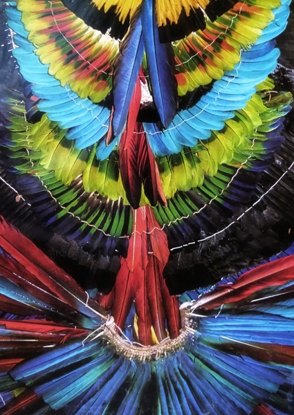 colorful feathered headdress amazon