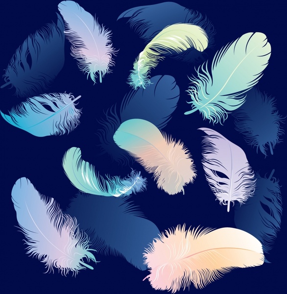 feathers background modern colorful dynamic floating