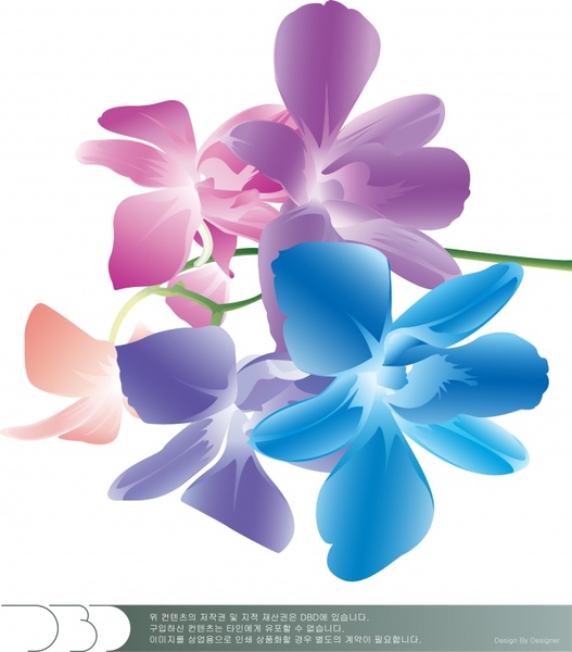 colorful flowers vector