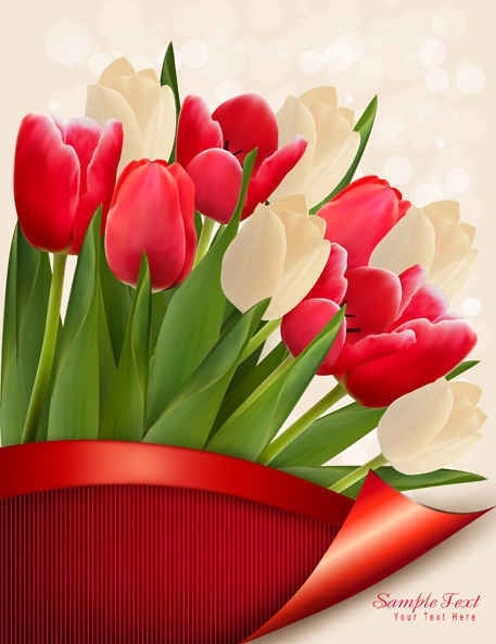 Colorful tulips vector Flowers
