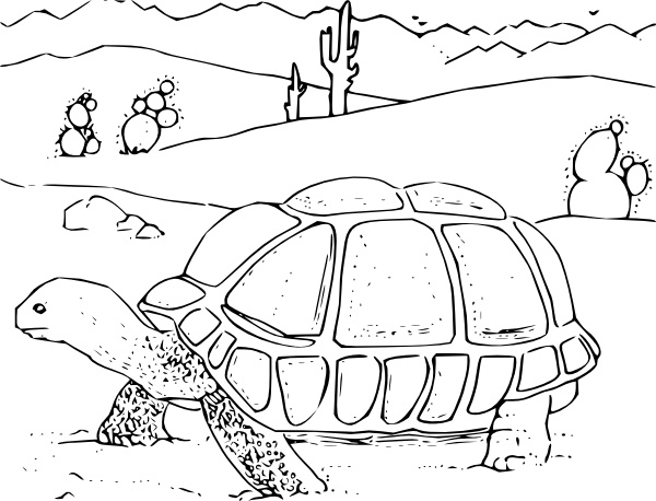 One continuous line drawing of big cute tortoise Vector Image