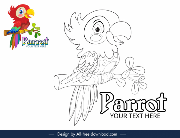 coloring book design element handdrawn parrot sketch