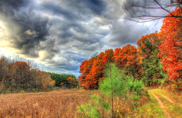 colors and sky on the hiking trail in southern wisconsin