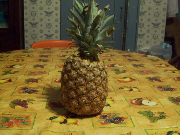 coloured pineapple