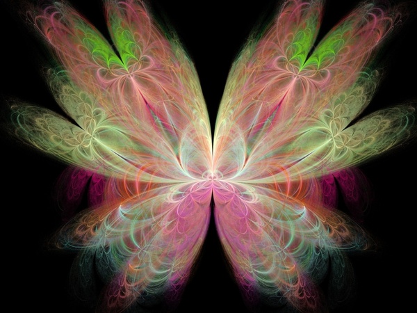 colours fractal butterfly 