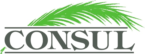 consul 0