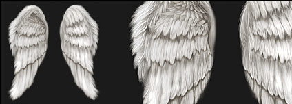 Cool wings psd layered material