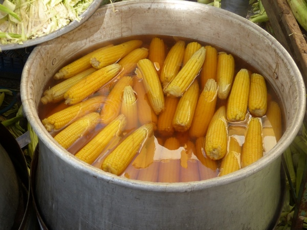 corn corn on the cob cook