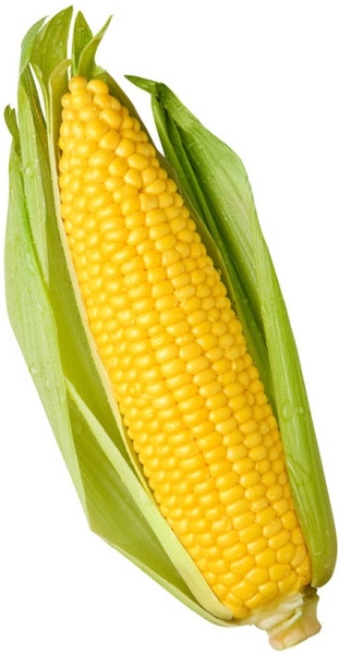 corn picture 01 hd pictures