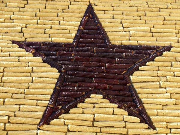 corn star mitchel