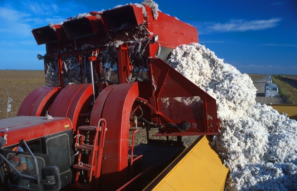 cotton harvester agriculture farm