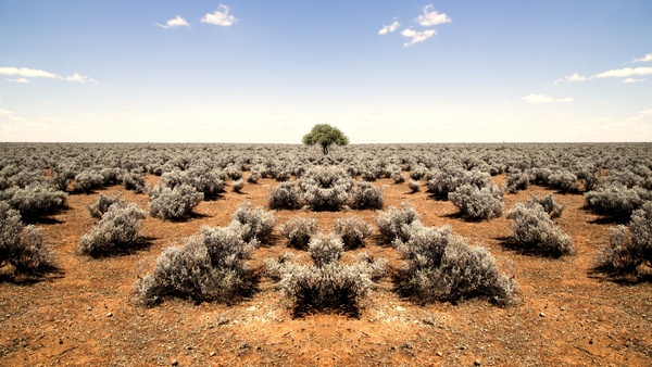country desert dry