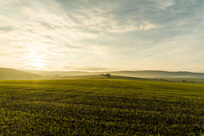 countryside landscape picture elegant field sunlight