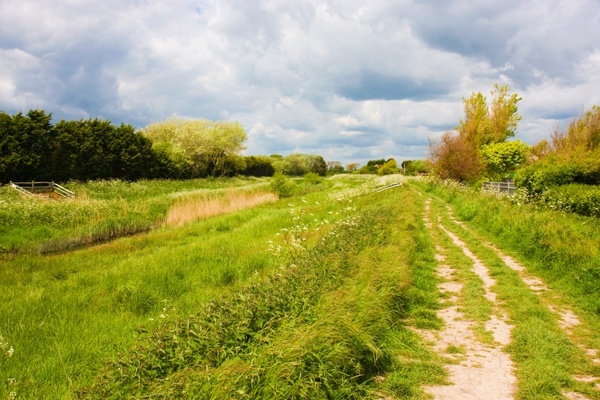 countryside trail landscape