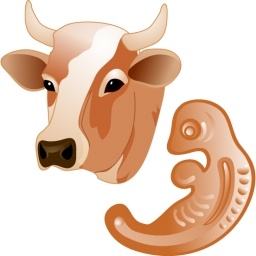 Cow Head Free Icon Download 30 Free Icon For Commercial Use Format Ico Png