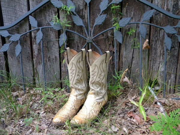 cowboy boots boots garden