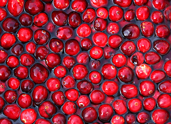 cranberries 