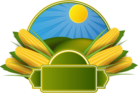 creative corn art background vector