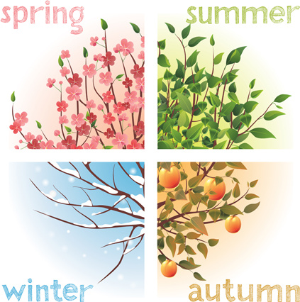 creative four season elements vector
