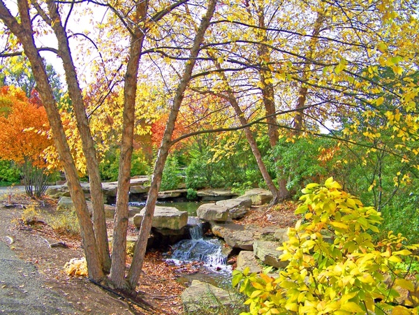 creek and trees in autumn