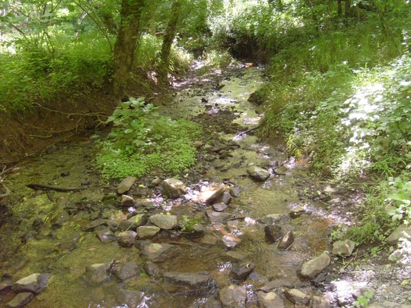 creek bed