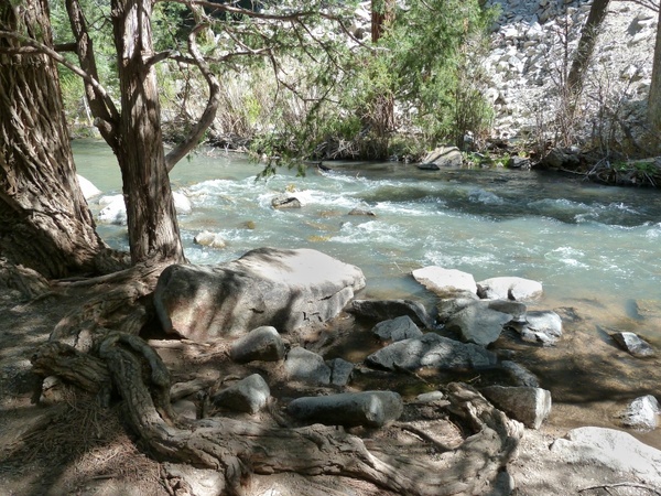creek river water