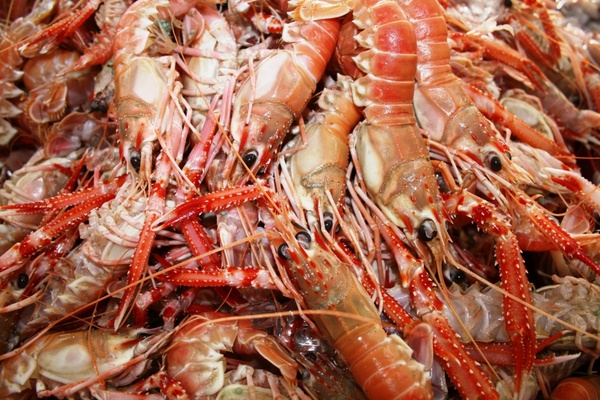 crevettes shrimp seafood