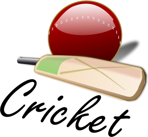 cricket 03