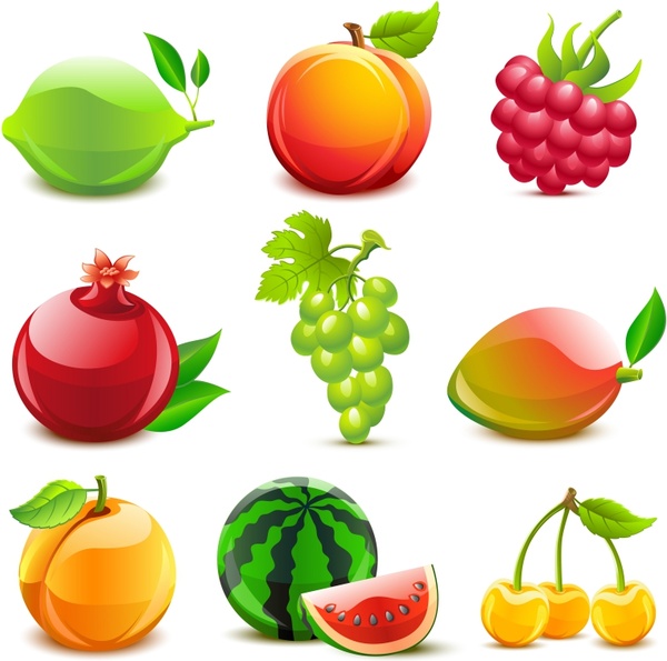 fresh fruits icons shiny colored modern sketch