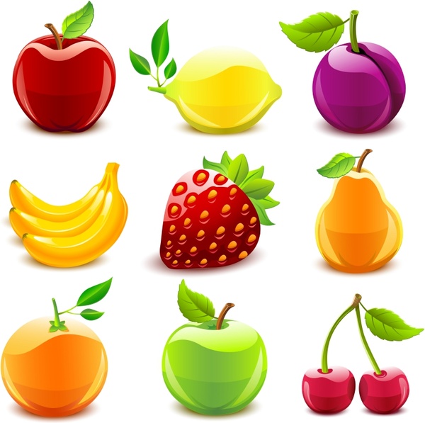 fruits icons shiny colored modern sketch