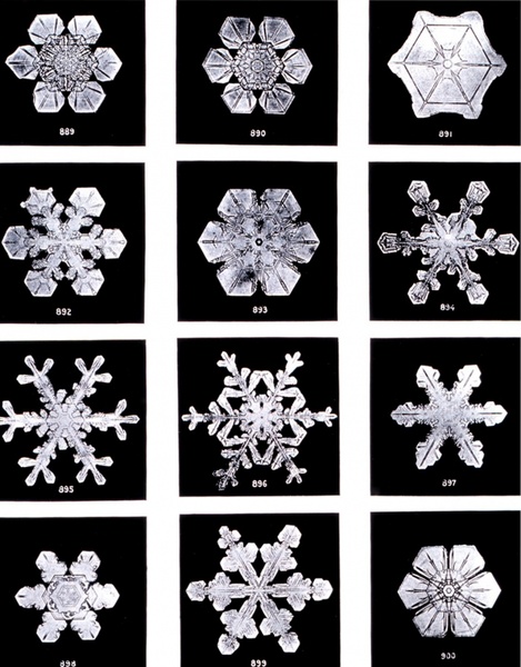 crystals ice crystal snow